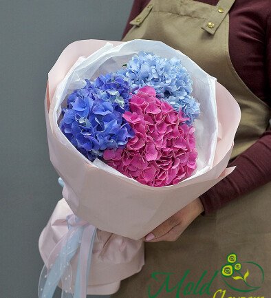 Bouquet “Color Harmony of Hydrangeas” photo 394x433