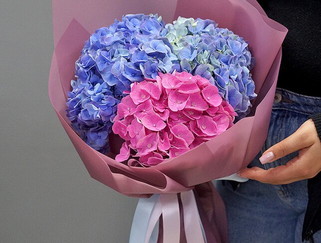 Bouquet of purple and pink hydrangeas photo
