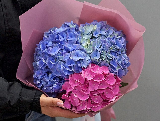Bouquet of purple and pink hydrangeas photo