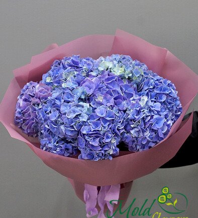 Purple Hydrangea /1 piece photo 394x433
