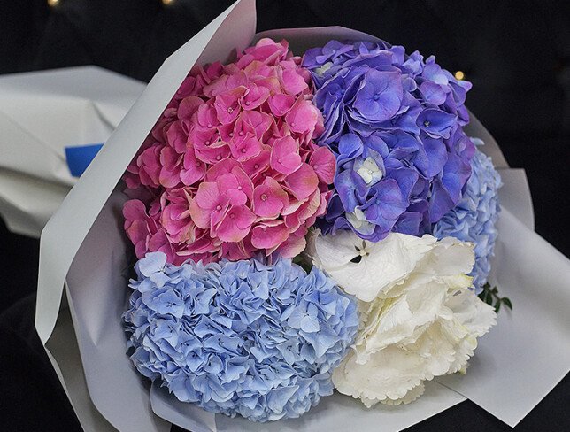 Buchet din hortensii multicolore „Nuante proaspete” foto