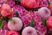 Bouquet with Pink Hydrangeas, Chrysanthemums and Dutch Coral Charm Peonies — photo 3