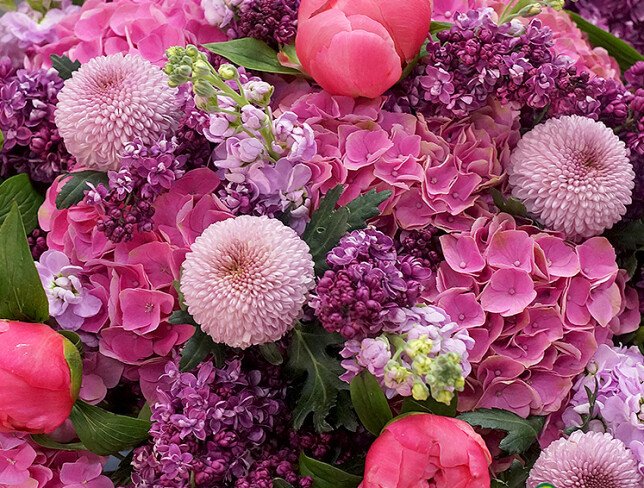 Buchet din hortensii roz, liliac si crizanteme foto