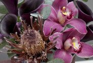 Cutie cu cale negre, orhidee si proteea — foto 2
