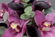Коробка с чёрными каллами и розовыми орхидеями — фото 2