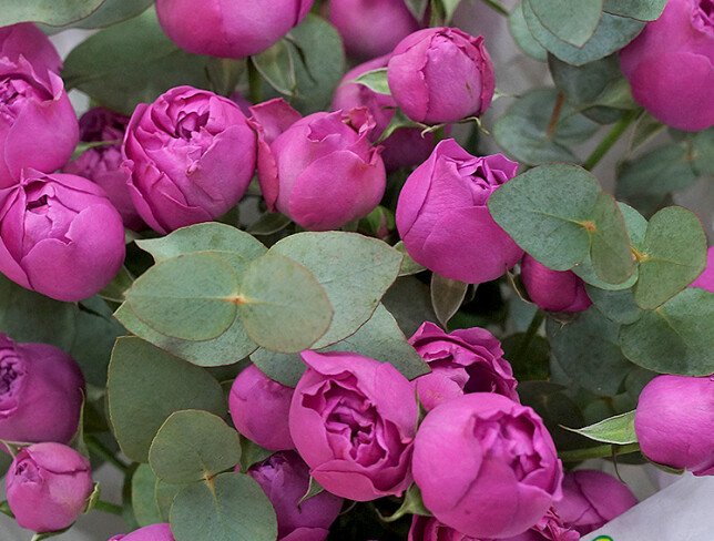 Bouquet of 7 Spray Roses “Misty Bubbles” photo