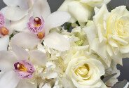 Cutie din hortensie alba, orhidee si trandafiri albi — foto 2