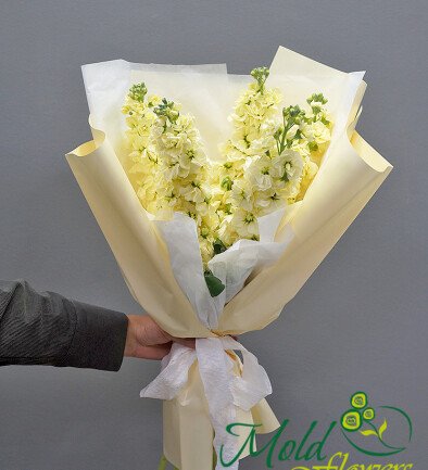 Bouquet of 5 lemon matthiolas photo 394x433