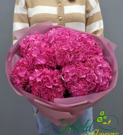 Bouquet of 9 bright pink hydrangeas photo 394x433