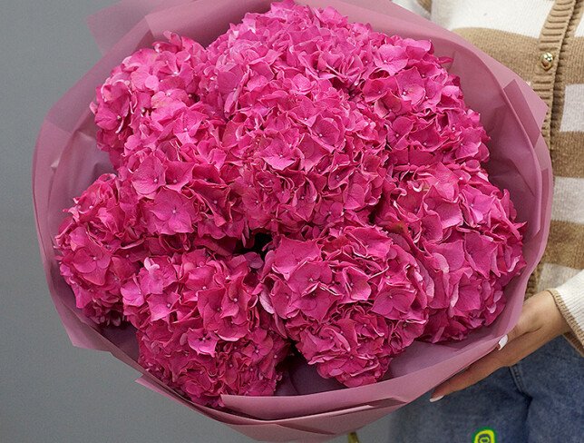 Bouquet of 9 bright pink hydrangeas photo