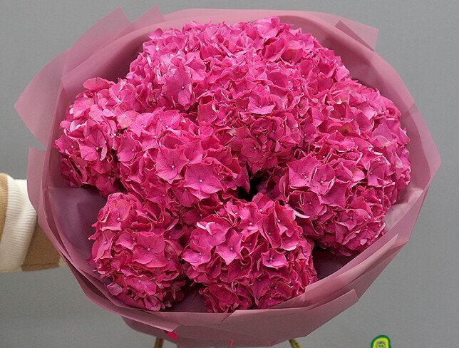 Bouquet of 9 bright pink hydrangeas photo
