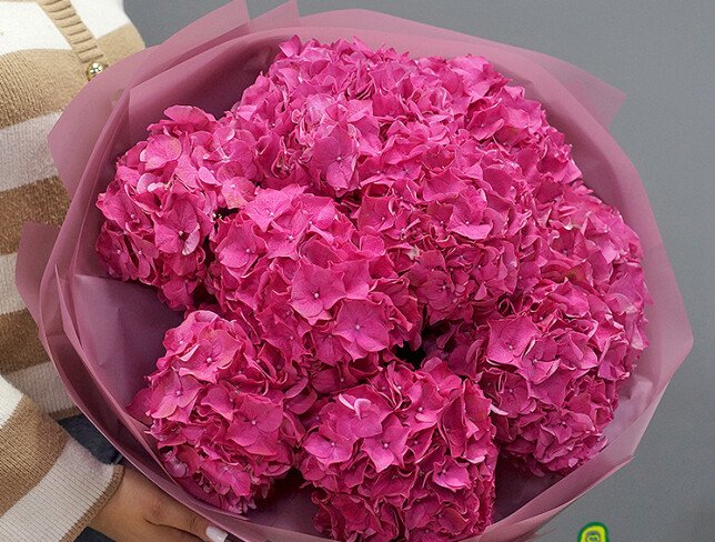 Bouquet of 9 bright pink hydrangeas photo
