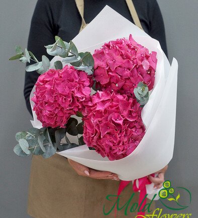 Buchet din 3 hortensii roz aprins foto 394x433