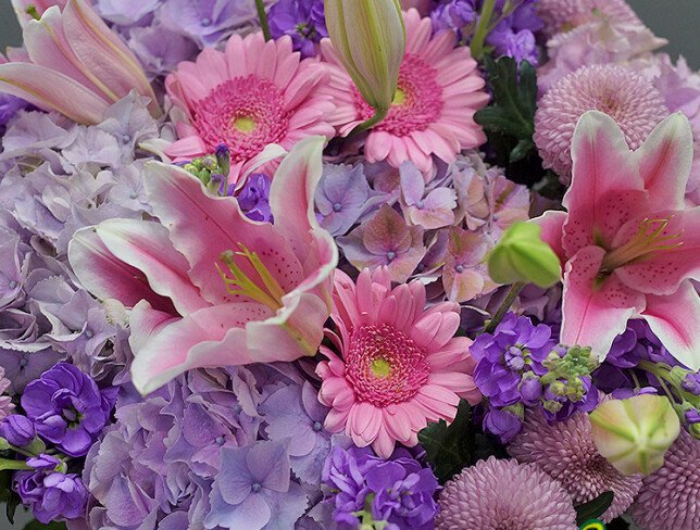 Bouquet of Purple Hydrangeas, Pink Lilies and Gerberas photo