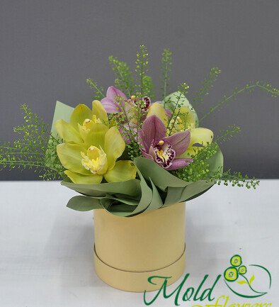 Box with green and pink orchids photo 394x433