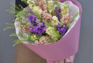 Buchet din mathiola delicată — foto 1