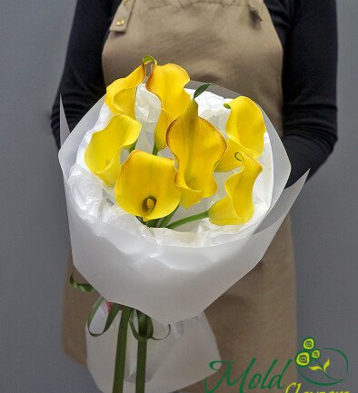 Bouquet of 7 Yellow Calla Lilies photo 394x433