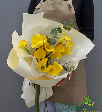 Buchet din 9 cale galbene foto 394x433