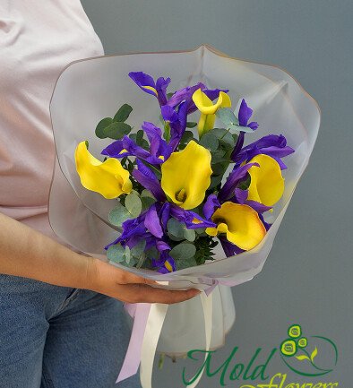 Buchet cu irisi si cale galbene foto 394x433