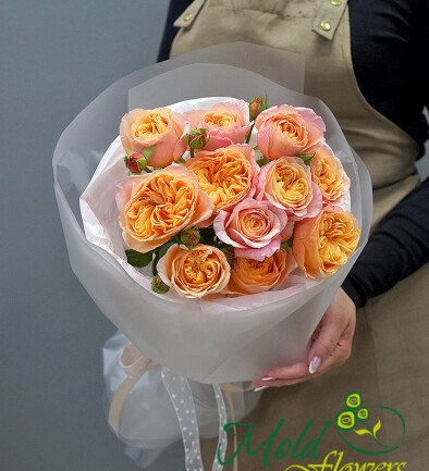 Buchet din 11 trandafiri crem de tip bujor foto 394x433
