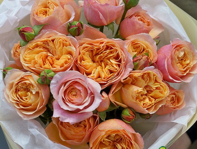 Bouquet of 15 Cream Peony Roses photo