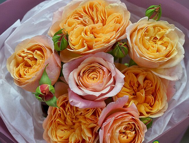 Bouquet of 7 Cream Peony Roses photo