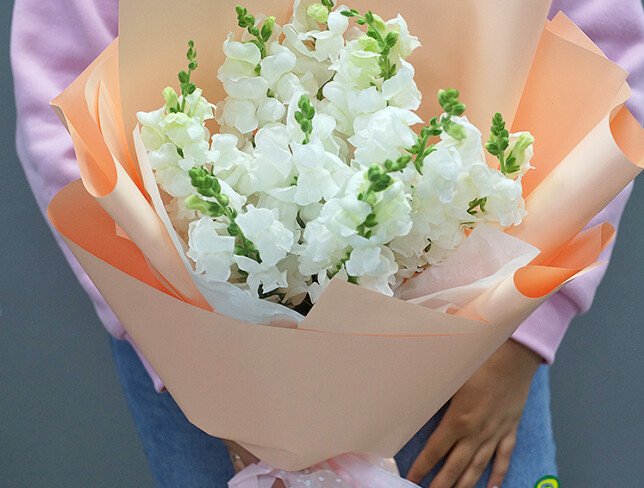 Bouquet of 9 White Snapdragons photo
