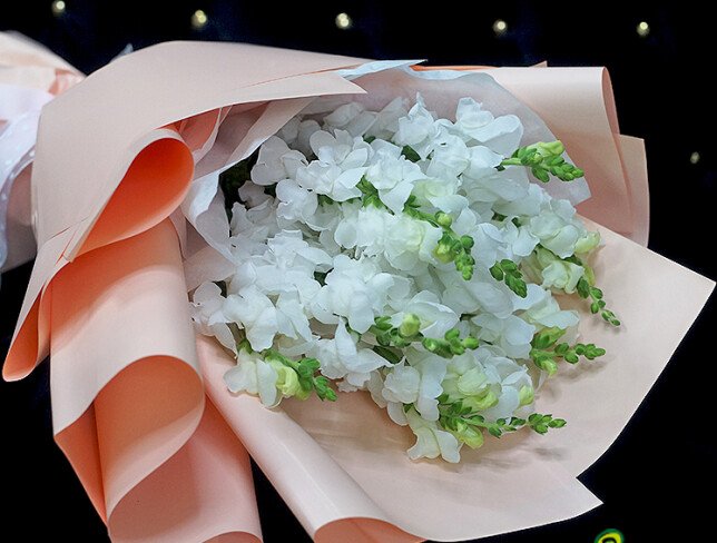 Bouquet of 9 White Snapdragons photo