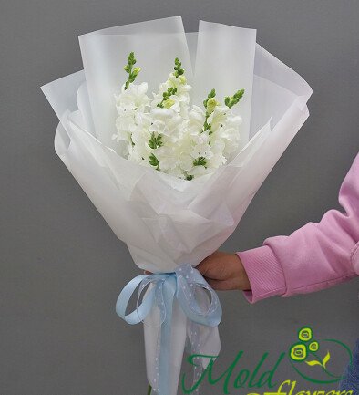 Bouquet of 5 White Snapdragons photo 394x433