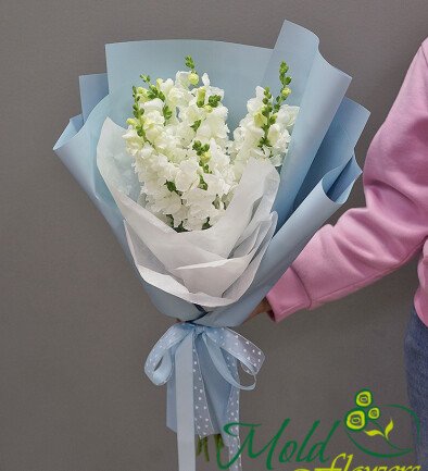 Buchet din 7 gura-leului albe foto 394x433