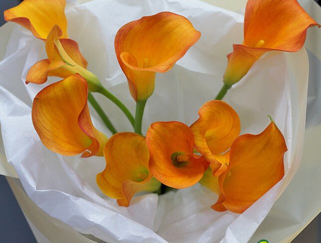 Buchet cu 9 cale „Mango” foto