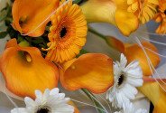 Bouquet with Gerberas and Calla Lilies “Sunny Sunrise” — photo 5
