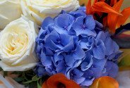 Buchet cu hortensie mov, trandafiri Candlelight, cale si strelitzia — foto 4