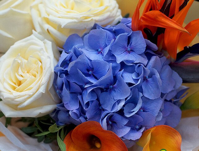 Buchet cu hortensie mov, trandafiri Candlelight, cale si strelitzia — foto 4