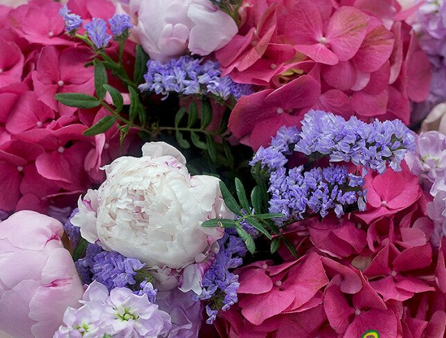 Buchet din hortensii roz, bujori si matthiola „Incantarea iubirii” foto