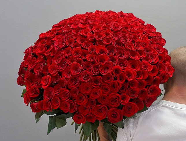 Bouquet of 199 red roses 60 cm (pre-order, 5 days) photo