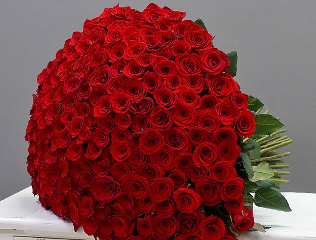 Bouquet of 199 red roses 60 cm (pre-order, 5 days) photo