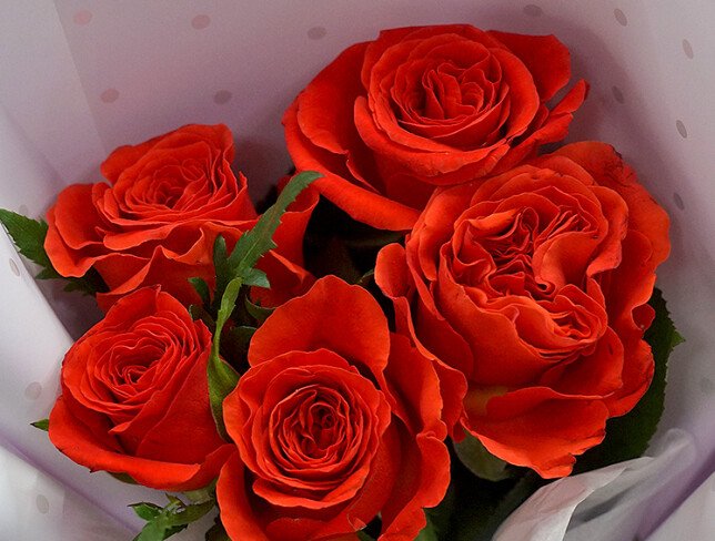 Bouquet of 5 Orange Roses 40 cm photo