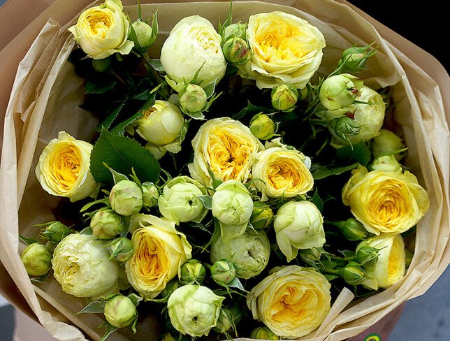 Bouquet of Peony Roses "Luminous Dream" photo
