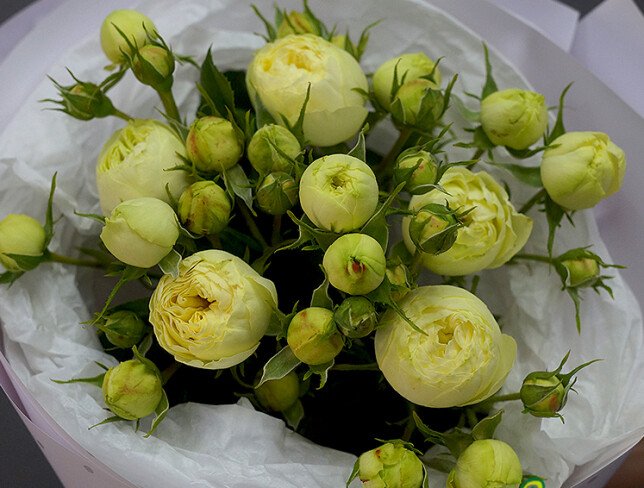 Bouquet of White Peony Roses "Harmony of the Soul" photo
