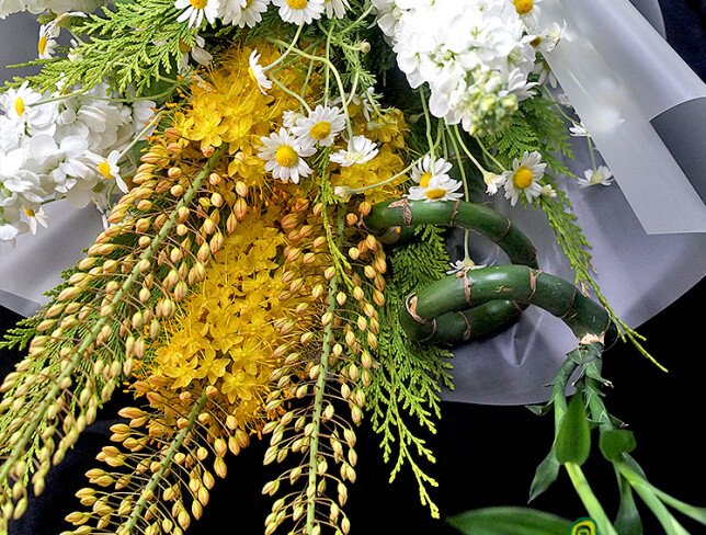 Bouquet of Daisies, Matthiola and Eremurus photo