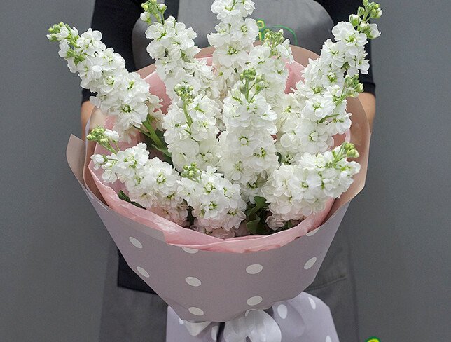 Bouquet of 11 White Matthiolas photo