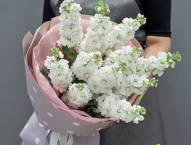 Bouquet of 11 White Matthiolas photo