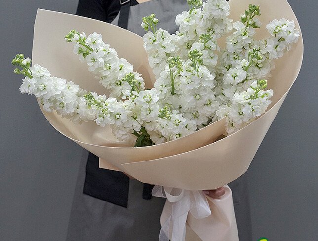 Bouquet of 15 White Matthiolas photo