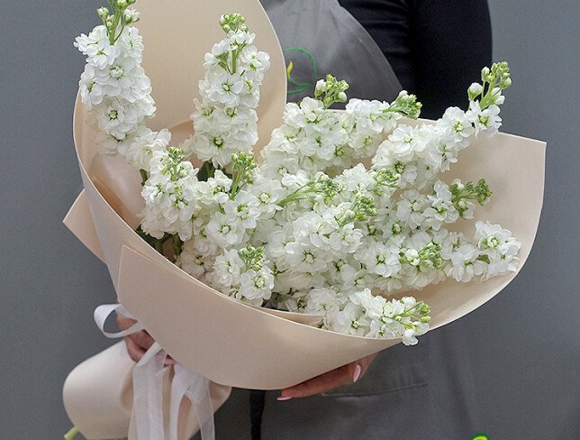 Bouquet of 15 White Matthiolas photo