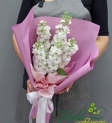 Bouquet of 5 White Matthiolas photo 394x433