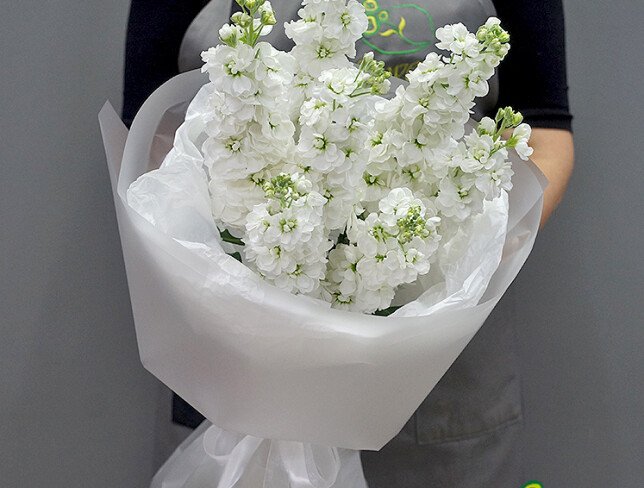 Bouquet of 7 White Matthiolas photo