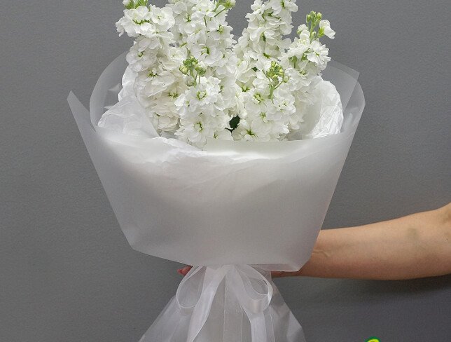 Bouquet of 7 White Matthiolas photo