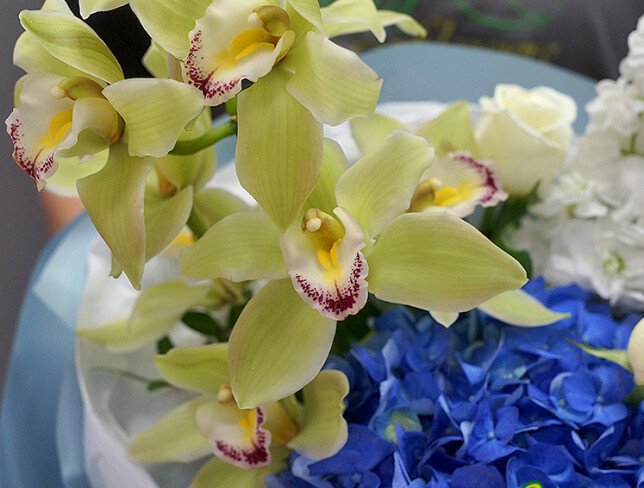 Bouquet "Blue Lagoon" photo