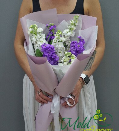Buchet din matthiola mov si albe foto 394x433